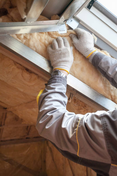 Types of Insulation We Offer in LA